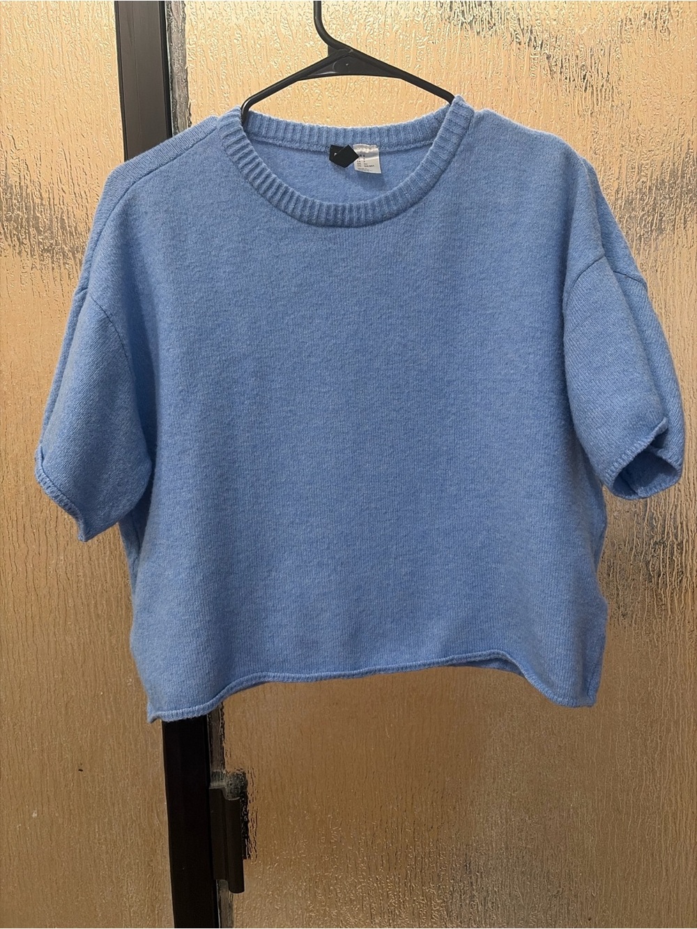 H&M Light Blue Short-Sleeve Cropped Crewneck Sweater